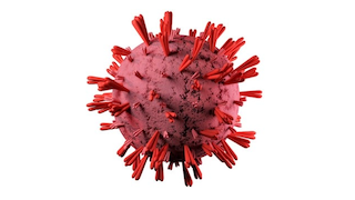 Interpretace stanovení IgG protilátek proti SARS-CoV-2
